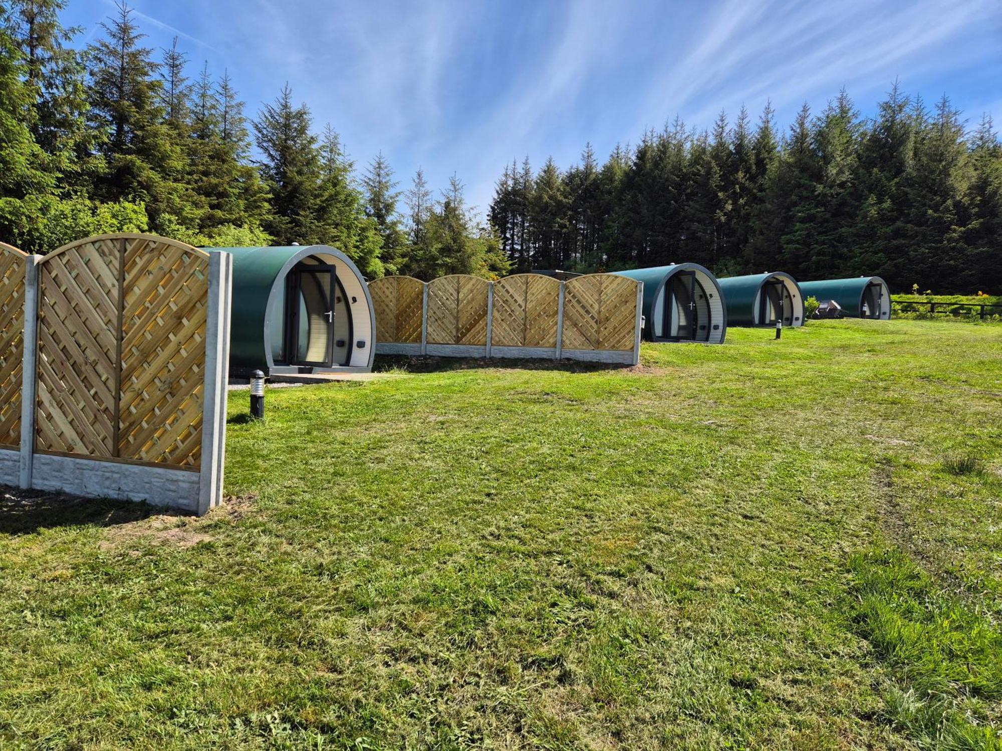 Forth Mountain Glamping Ballintlea Εξωτερικό φωτογραφία
